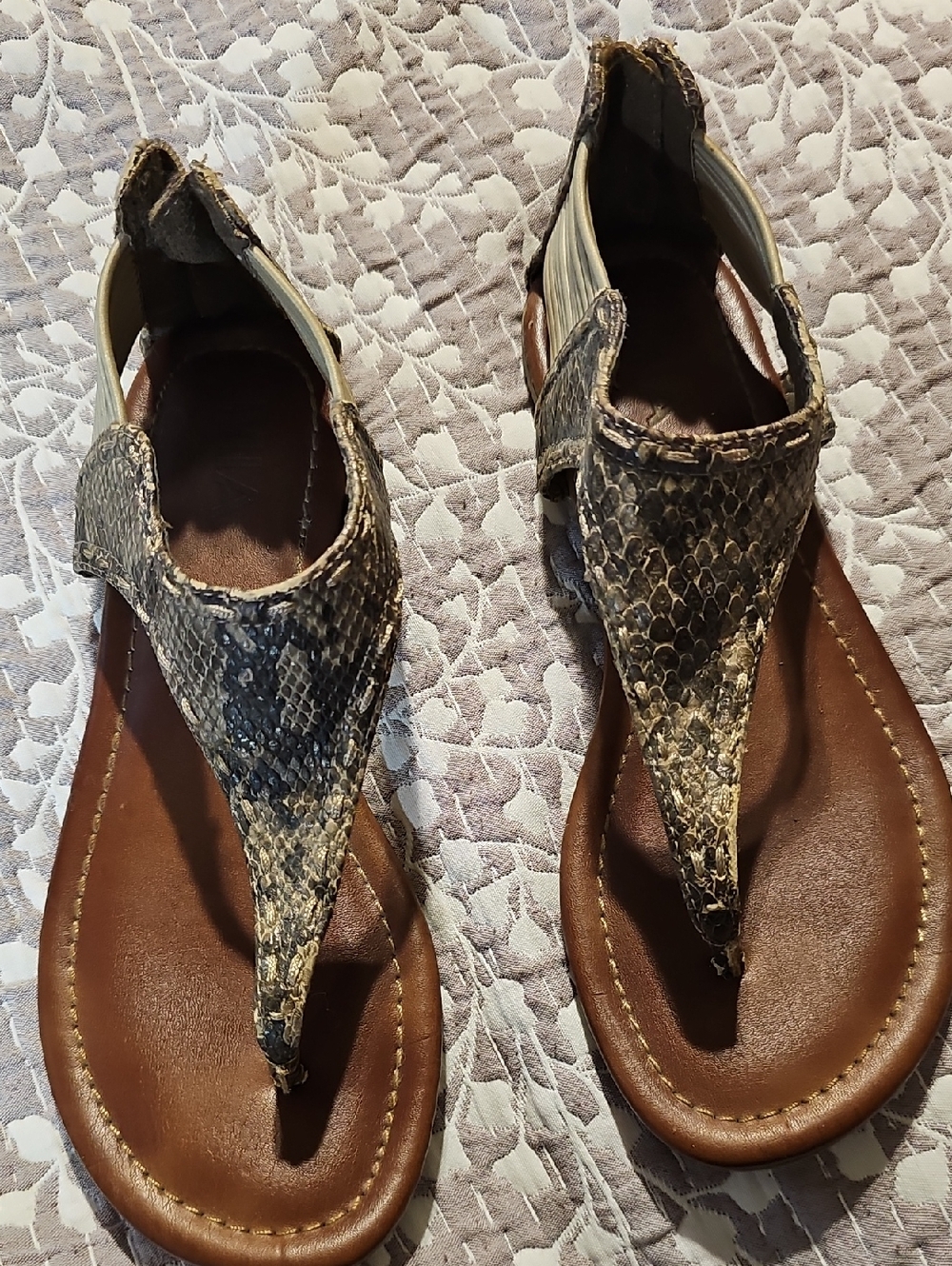 MIA Brown Leather Thong Sandals with Snakeskin-Pattern Upper